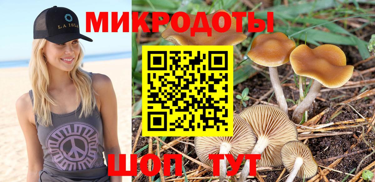 Псилоцибиновые грибы Cubensis  Вход с VPN  купить наркотик  Старая Русса 